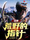 怪猎:荒野的指针